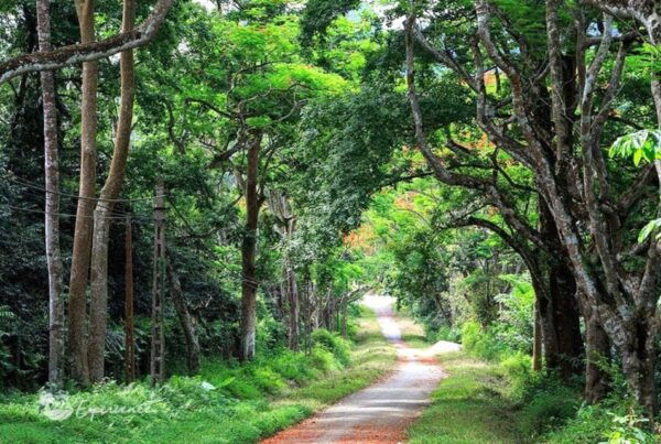 Ninh Binh: Explore Cuc Phuong National Park Full Day - Booking and Cancellation Policy