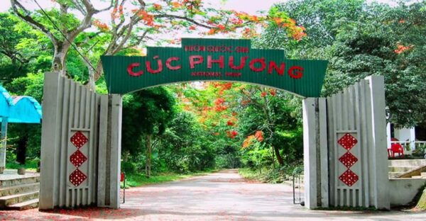 Ninh Binh: Explore Cuc Phuong National Park Full Day - Nearby Attractions