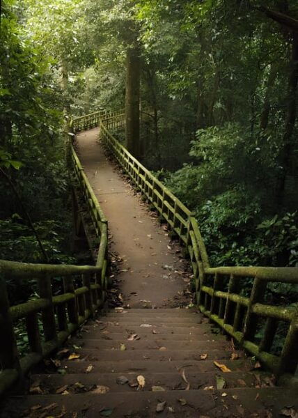 Ninh Binh: Explore Cuc Phuong National Park Full Day - Frequently Asked Questions