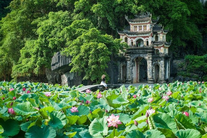 Ninh Binh Full Day Guided Tour From Hanoi - Booking and Pricing