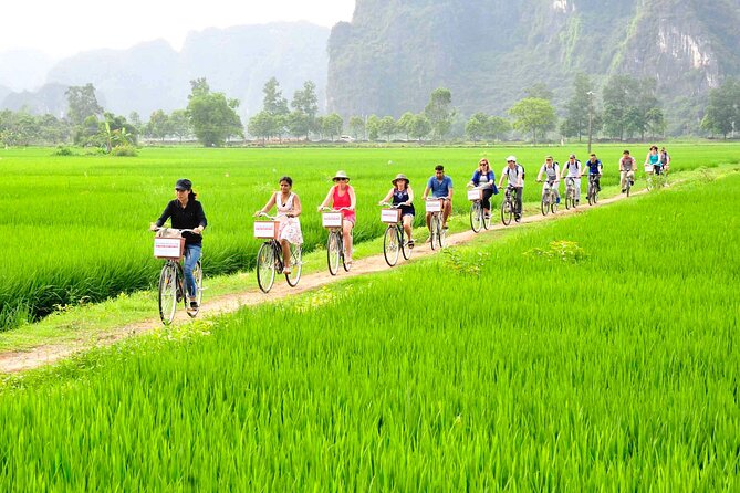Ninh Binh Full Day-Hoa Lu Temple & Biking, Tam Coc Boat Trip, Dragon Mountain - Exploring the Stunning Landscapes of Ninh Binh