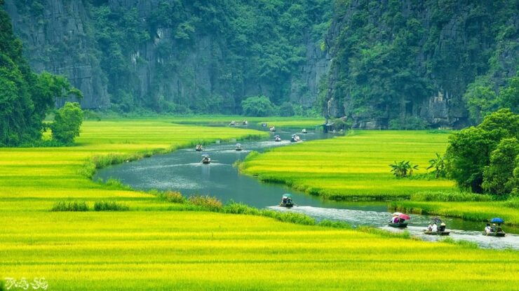 Ninh Binh Full Day - Mua Cave - Tam Coc Boating - Hoa Lu - Good To Know