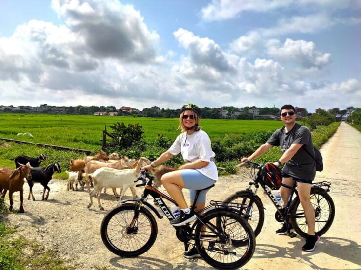 Ninh Binh Full-Day Small Group of 11 Guided Tour From Hanoi - Tour Overview