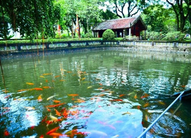 Ninh Binh Full-Day Small Group of 11 Guided Tour From Hanoi - Afternoon Activities
