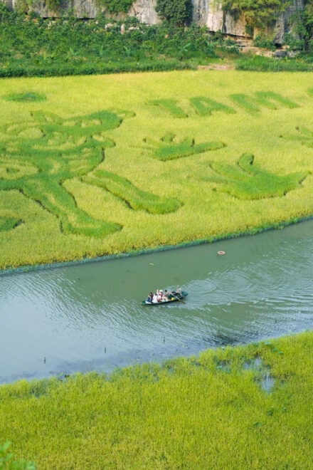 Ninh Binh Full-Day Small Group of 11 Guided Tour From Hanoi - Inclusions