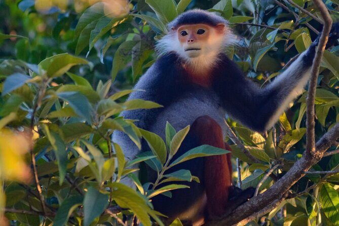 Ninh Binh: Full-Day Trekking Explore Cuc Phuong National Park - Transportation and Group Size