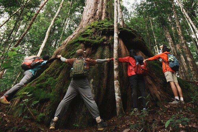 Ninh Binh: Full-Day Trekking Explore Cuc Phuong National Park - Who Should Consider This Tour?