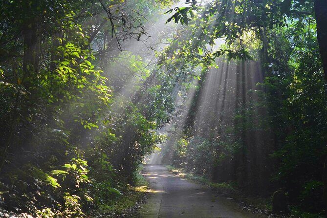 Ninh Binh: Full-Day Trekking Explore Cuc Phuong National Park - FAQ