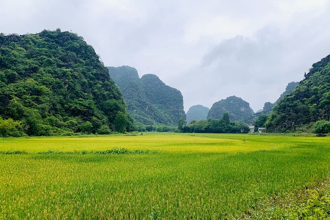 Ninh Binh Full Day Trip From Hanoi To Hoa Lu, Trang An, Mua Cave - Hoa Lu Ancient Capital