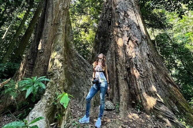 Ninh Binh Full day trip from Ninh Binh - Practical Details & Overall Experience