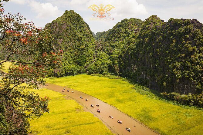 Ninh Binh Highlights Tour - Hoa Lu, Trang An And Mua Cave - Experience Breakdown: What You Can Expect