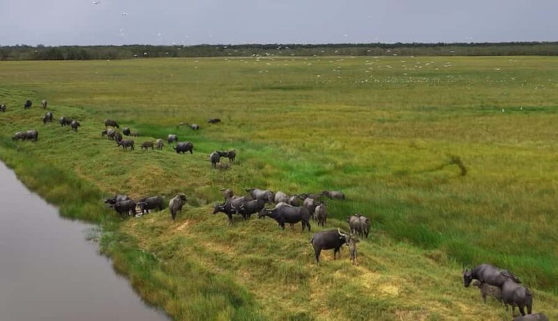 Ninh Binh: Hoa lu, Bai Dinh, Trang an & Mua cave Small Group - Authentic Experiences and Traveler Insights