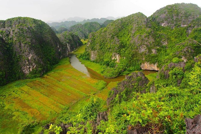 Ninh Binh - Hoa Lu - Mua Cave - Tam Coc 1 Day Tour - The Sum Up