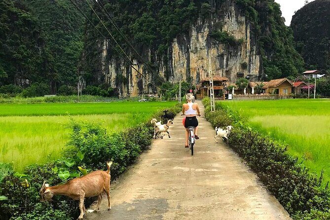 Ninh Binh: Hoa Lu, Mua Cave, Tam Coc, Bike, Swimming-Sunset Party - The Sum Up