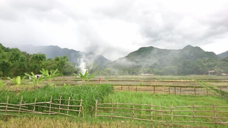 Ninh Binh - Hoa Lu - Tam Coc - Cycling Included Bus & Meal - Starting Times