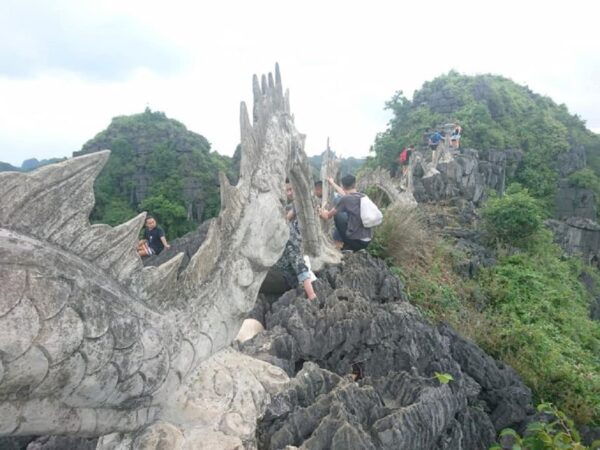 Ninh Binh - Hoa Lu - Tam Coc - Cycling Included Bus & Meal - Tam Coc and Cycling Experience