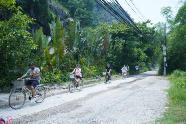 Ninh Binh: Hoa Lu, Trang An & Hang Mua Trip by Limousine Bus - Local Cuisine Experiences
