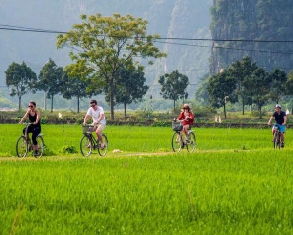 Ninh Binh: Hoa Lu, Trang An & Hang Mua Trip by Limousine Bus - Return Details