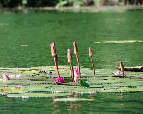 Ninh Binh: Hoa Lu & Trang an & Hang Mua With Small Group - Directions