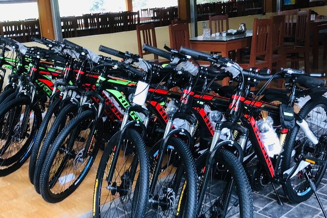 Ninh Binh Masterpiece Village - Rich Cultural Heritage