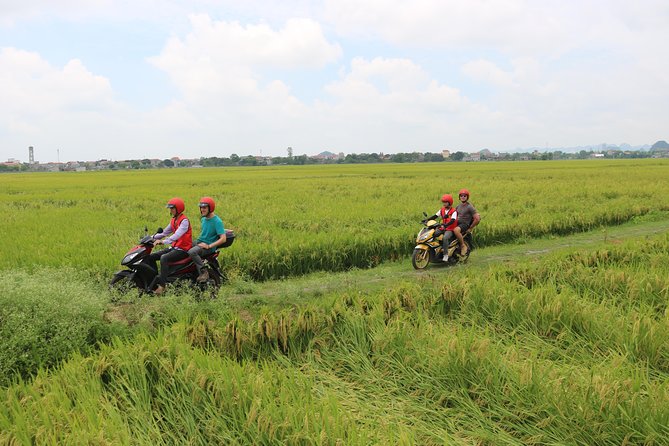 Ninh Binh Motorbike Half Day Rural Village, Rice Paddies - Taking in Local Culture