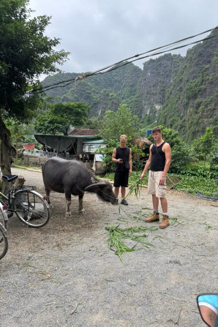 Ninh Binh Motorbike Tour - Tour Highlights