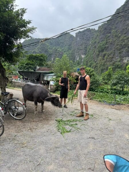 Ninh Binh Motorbike Tour - Tips for Participants