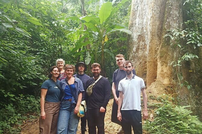 Ninh Binh One Day Cuc Phuong National Park Small Group Tour - An In-Depth Look at the Tour Experience