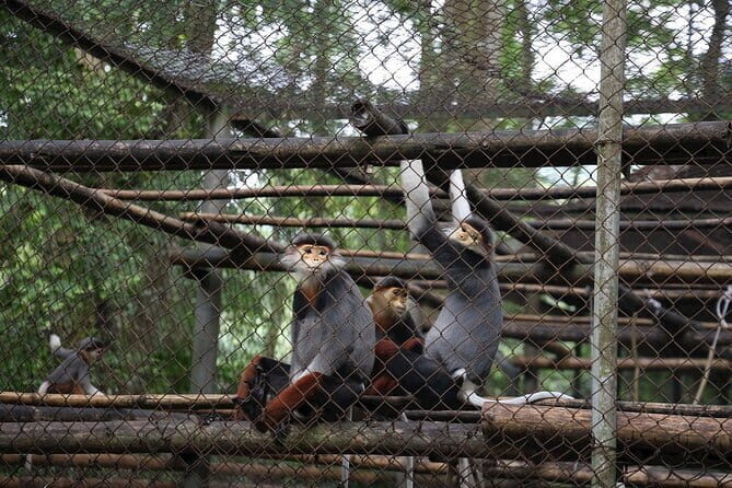 Ninh Binh One Day Cuc Phuong National Park Small Group Tour - Who This Tour Is Perfect For