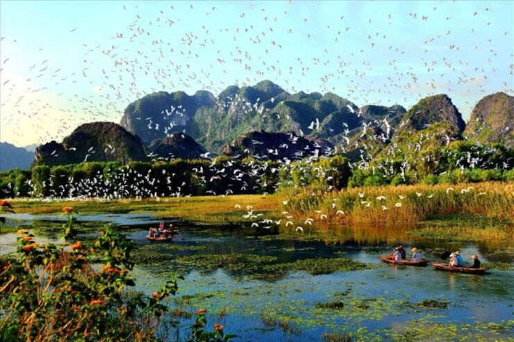 Ninh Binh Private Tour: Van Long - Hoa Lu - Mua Cave - Tour Details