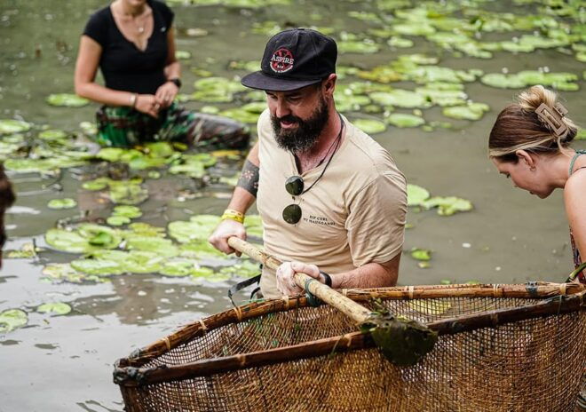 Ninh Binh: Rice Planting and Fishing by Basket Tour - Important Requirements and Tips