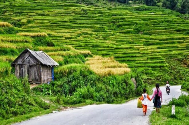 Ninh Binh: Sapa Transfer by VIP Sleeper Bus - Experience Highlights