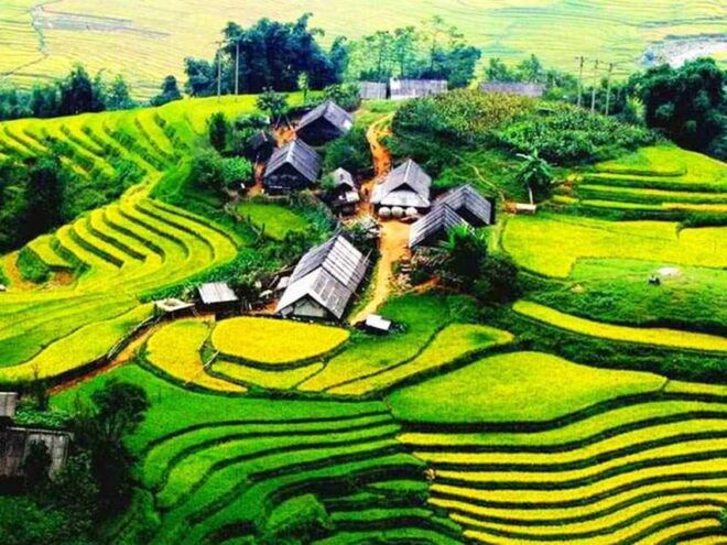 Ninh Binh: Sapa Transfer by VIP Sleeper Bus - Important Travel Information