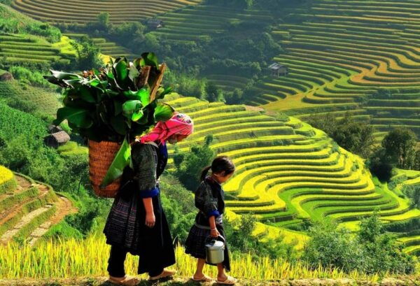 Ninh Binh: Sapa Transfer by VIP Sleeper Bus - What to Bring