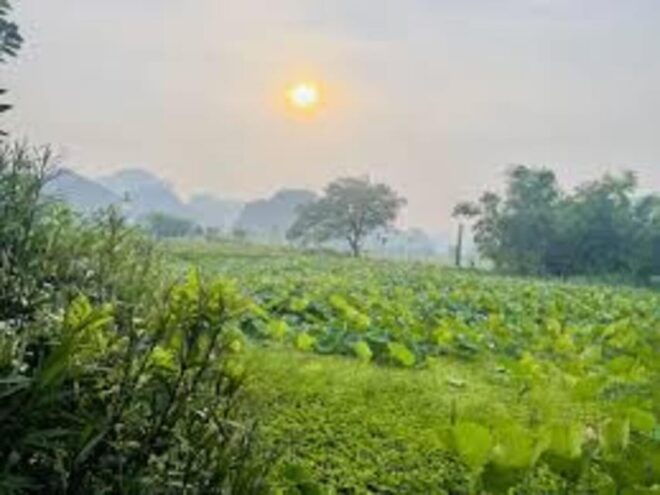 Ninh Binh Sunset Tour And Visit Hoa Lu Ancient Town - Mua Cave Adventure