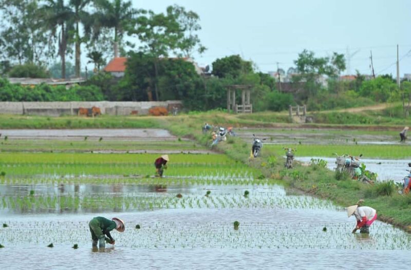 Ninh Binh: Tam Coc Boat Ride, Mua Cave Sunset, Hoa Lu Stroll - The Sum Up