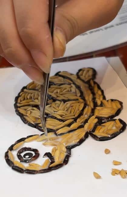 Ninh Binh: Tam Coc Museum Tour and Rice Mosaic Workshop - Value for Money