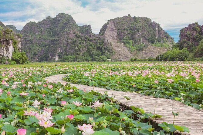 Ninh Binh Tam Coc Tour with Boat Trip and Lunch - The Sum Up