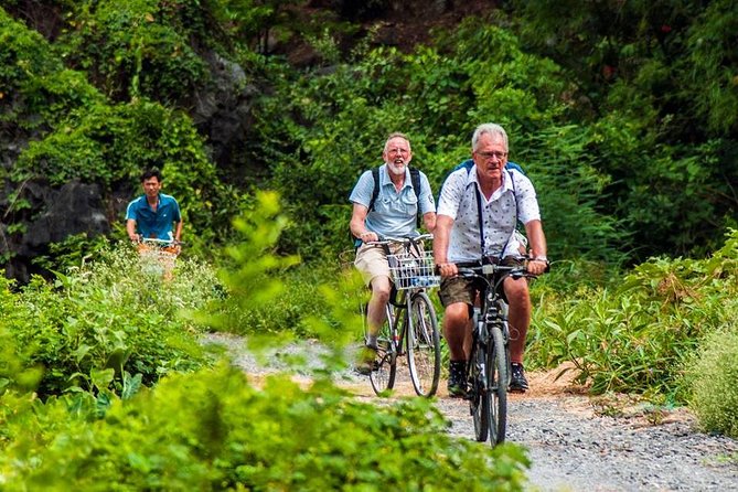 Ninh Binh Tour Hoa Lu Tam Coc Full Day: Biking,Boating,Tickets,Lunch, Limousine - Important Information
