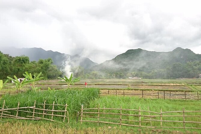 Ninh Binh Tour of Hoa Lu,Tam Coc, and Mua Cave  - Hanoi - Pricing and Booking Information