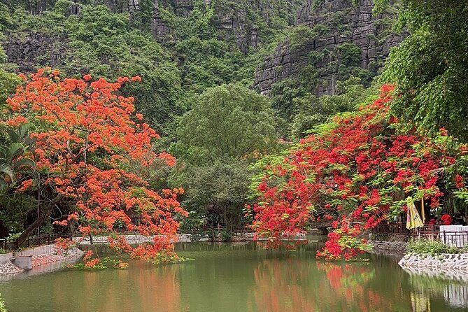 Ninh Binh Trang An Bai Dinh Pagoda Mua Cave Tour From Hanoi - Final Thoughts