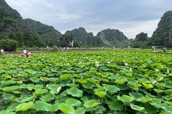 Ninh Binh Trang An Bai Dinh Pagoda Mua Cave Tour From Hanoi - Who Should Consider This Tour?