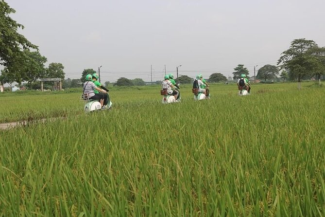 Ninh Binh Vespa Start From Hanoi Boat Villages Rice Paddies - Common Questions