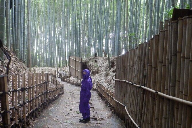 Ninja Explores Old Samurai Residences in Sakura - Authenticity and Guide Expertise