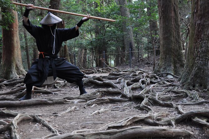 Ninja Trekking Half-Day Tour at Mt.Daimonji Kyoto - Exploring Mt. Daimonjis Hidden Trails