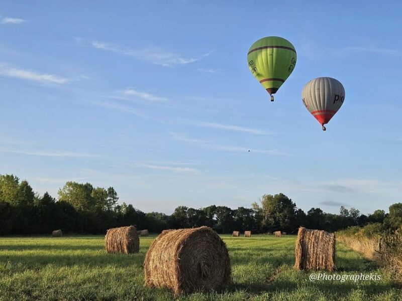 Niort and the Marais Poitevin: Hot-Air Balloon Flight From Coulon - Good To Know