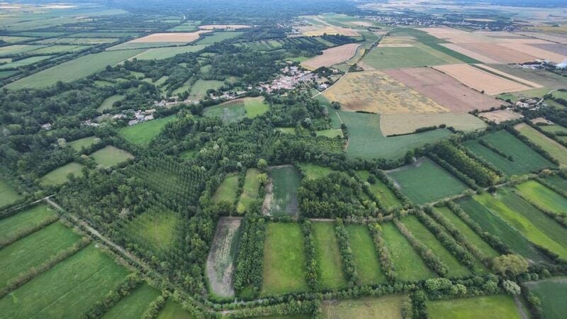 Niort and the Marais Poitevin: Hot-Air Balloon Flight From Coulon - The Unique Experience of Hot-Air Ballooning