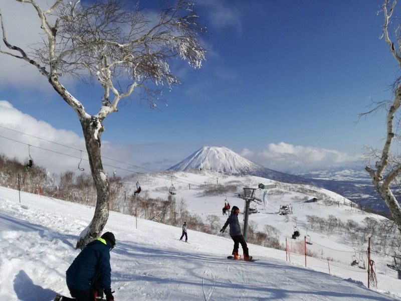 Niseko Grand Hirafu Ski Resort Ski Tour from Sapporo - Powder, views, and the limits of a ski-focused visit