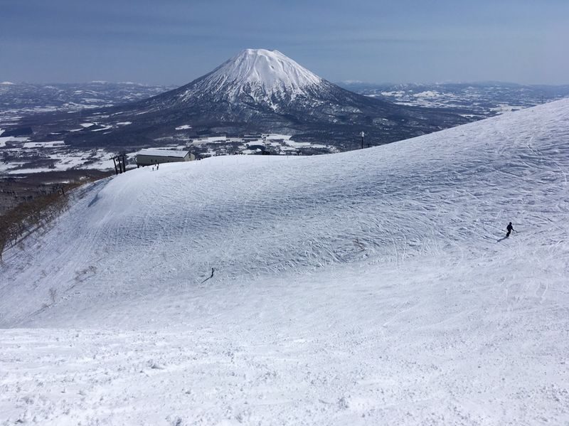 Niseko Grand Hirafu Ski Resort Ski Tour from Sapporo - Who should book this Niseko day trip?