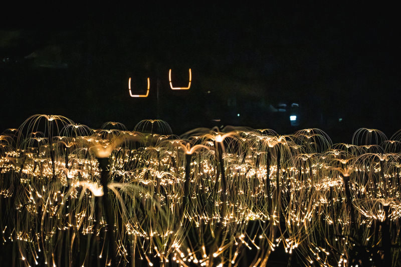 Niseko Hanazono Resort Ezo Fuji Mt.Yotei Art Mountain Lights - How long to allow, and when to go